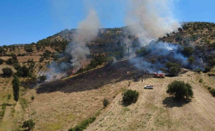 Manisa Demirci’deki orman yangını söndürüldü