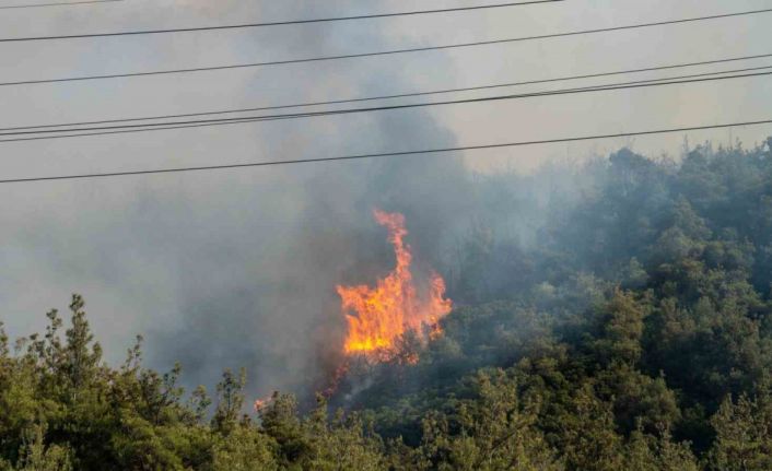 Manisa Valisi Özkan: "Yerleşim birimleri ve organize sanayi bölgesine yakın olan yangınla ilgili tüm tedbirleri aldık"