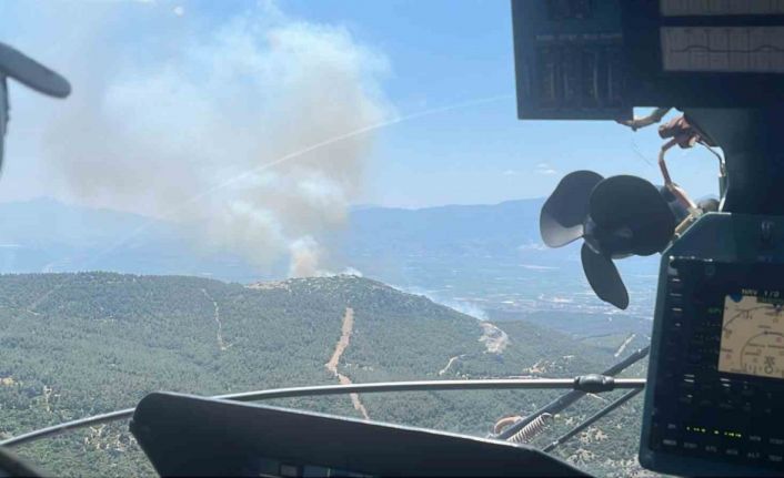 Manisa’da bir orman yangını daha başladı