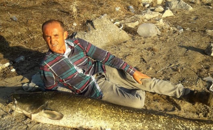 Manisa’da boyu kadar balık yakaladı