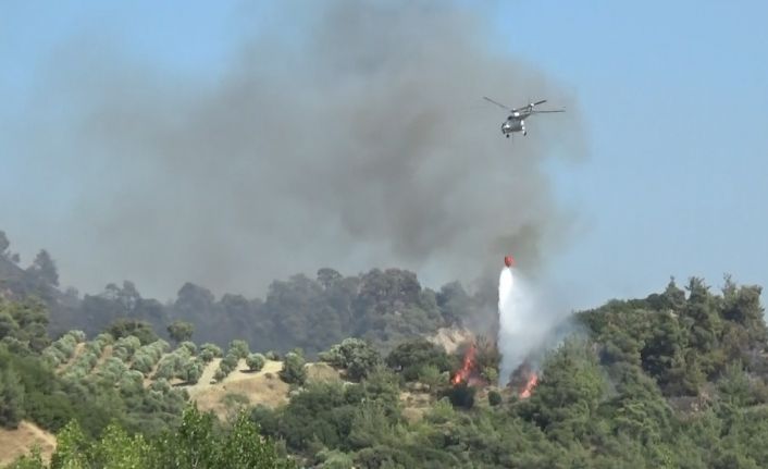 Manisa’daki alevlere 5 uçak ve 7 helikopterle müdahale