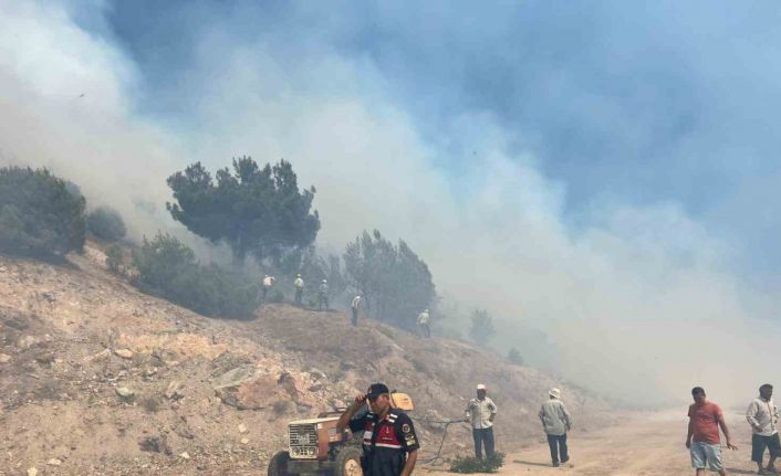 Manisa’daki orman yangını kontrol altına alındı