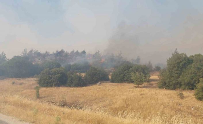 Manisa’daki orman yangınları devam ediyor
