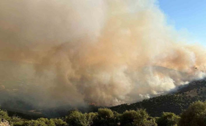 Manisa’daki yangın Uşak’a doğru ilerliyor