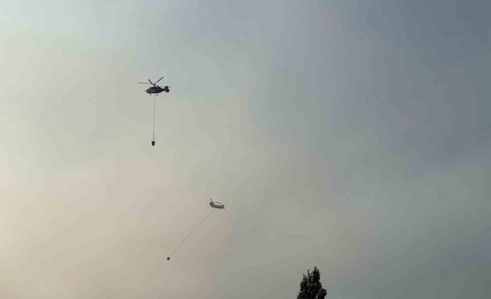 Manisa’nın Ahmetli ilçesindeki orman yangınına müdahale sürüyor