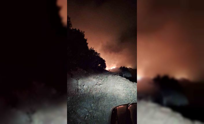 Manisa’nın Köprübaşı ilçesinde de orman yangını başladı