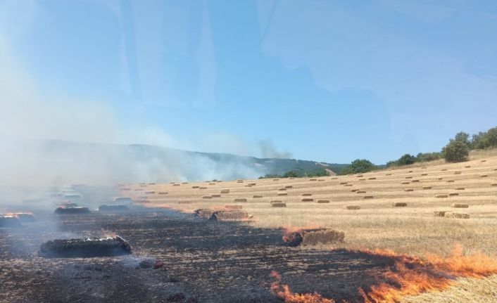Manyas’ta anız ve makilik alanda çıkan yangın kontrol altına alındı
