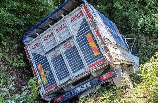 Manyas’ta trafik kazası: 1 yaralı