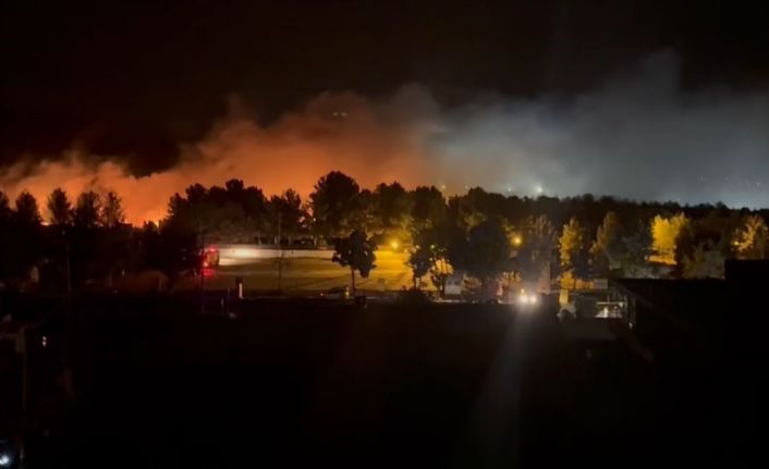 Mardin’de orman yangını