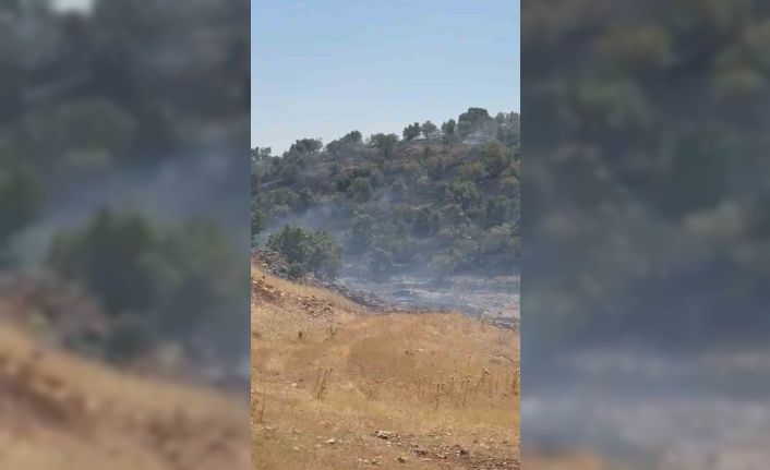 Mardin’de örtü yangını kontrol altına alındı