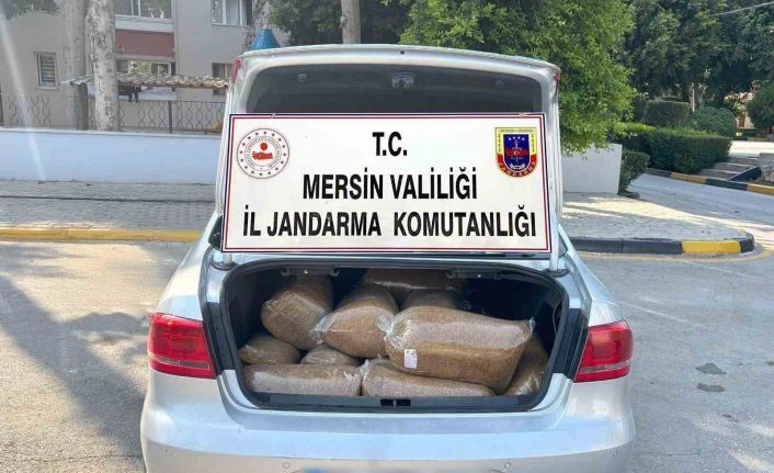 Mersin’de 100 kilo kaçak tütün ele geçirildi