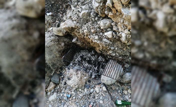 Mersin’de ormanda piknik yapan 5 kişiye ceza