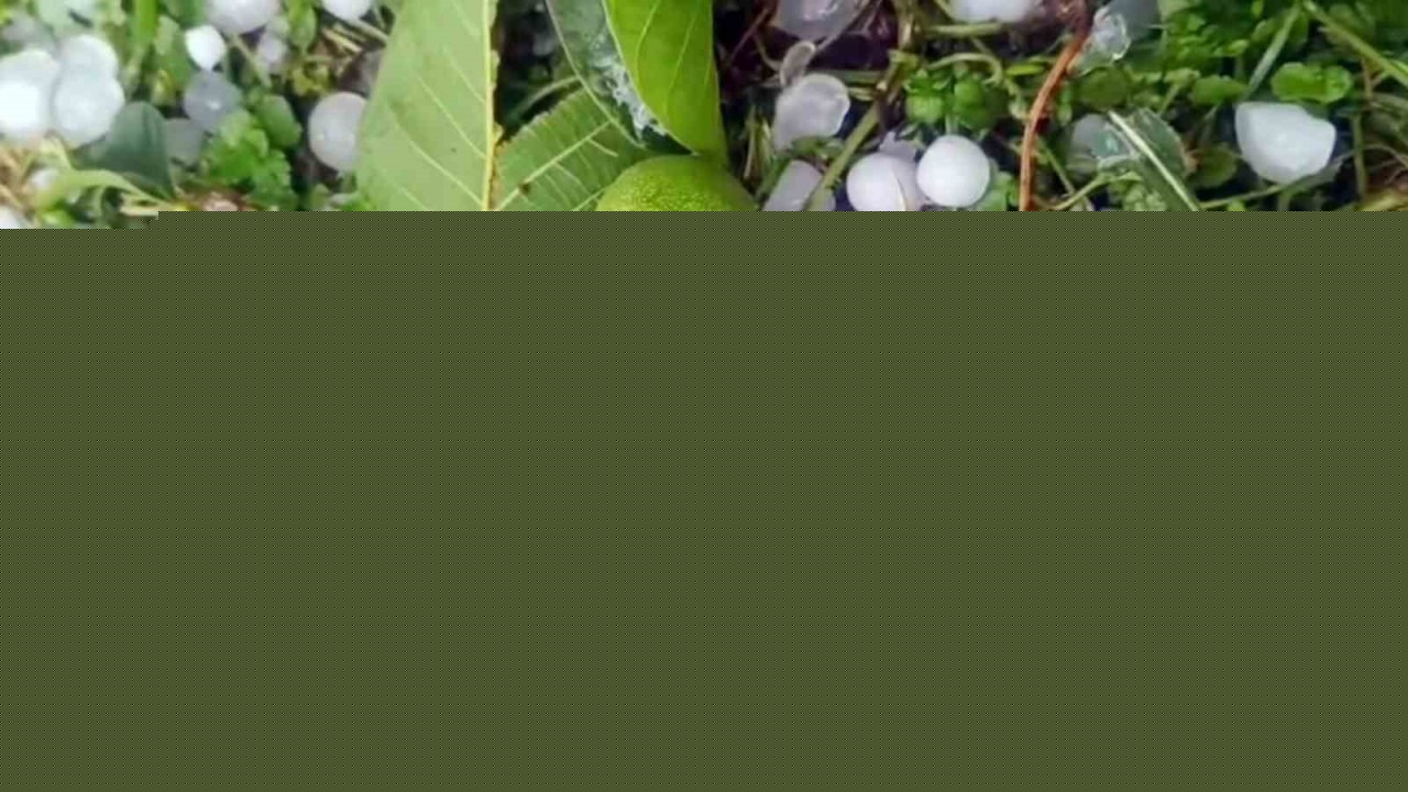 Mersin’de şiddetli dolu yağışı etkili oldu