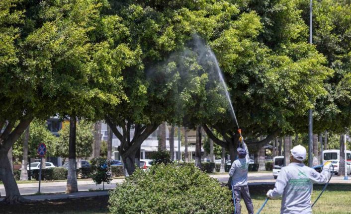 Mersin’de yaz boyunca kesintisiz ilaçlama
