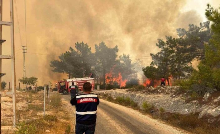 Mersin’deki orman yangınında jandarma ekipleri aktif rol aldı