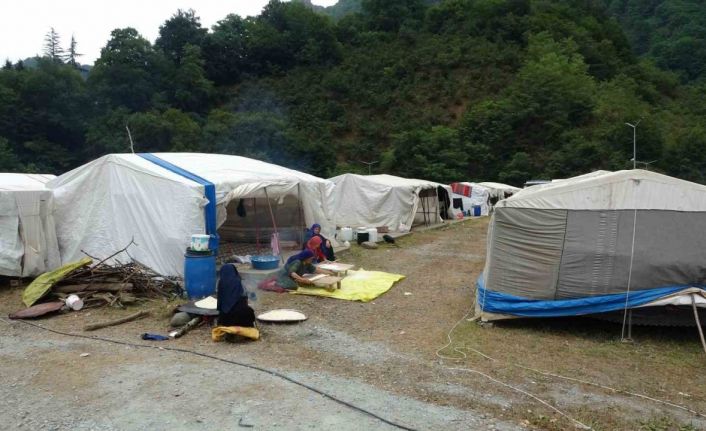 Mevsimlik tarım işçileri fındık hasadı için Ordu’da