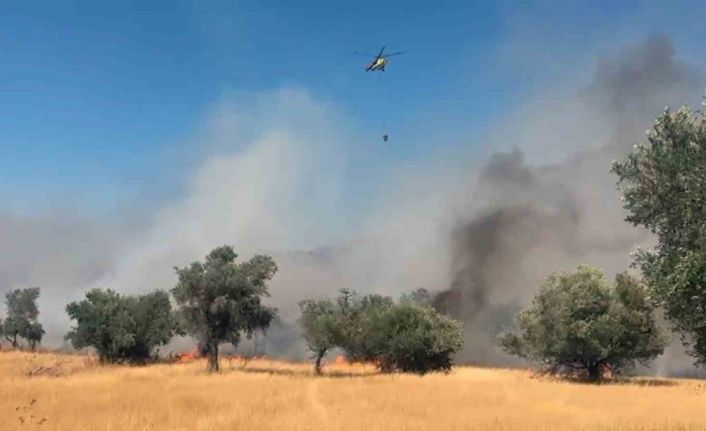 Milas Pınarcık yangınına 5 helikopter 4 uçak müdahale ediyor