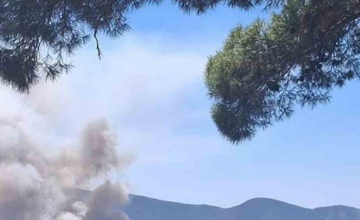 Milas Pınarcık’ta makilik ve zeytinlik alan yangını