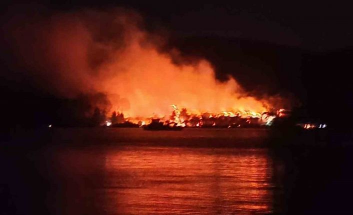 Milas’ta orman yangını