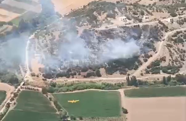 Milas’taki yangın kontrol altına alındı