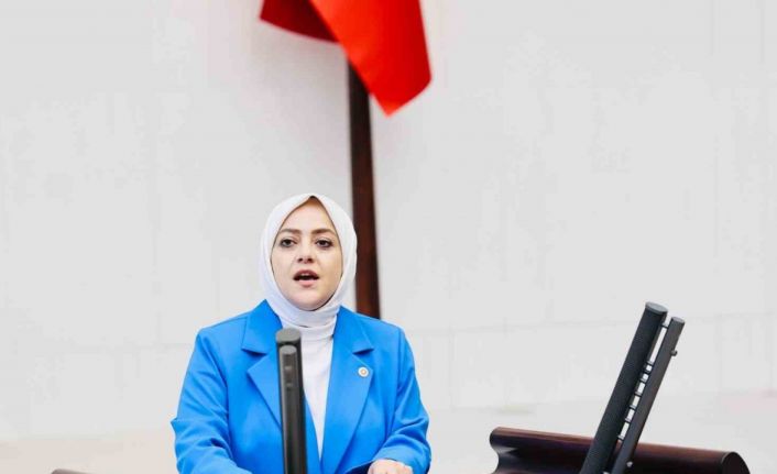 Milletvekili Ün; "Vahşi madencilik kar dışında hiçbir değeri tanımıyor"