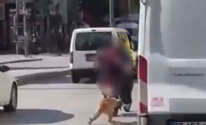 Motosikletin arkasına bağladıkları köpeği sürükleyerek götürdüler