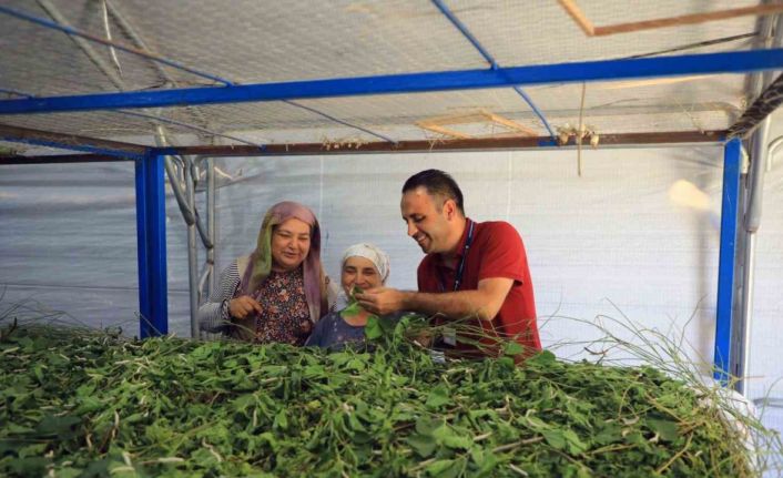 Muğla Büyükşehir’den ipekböcekçiliğine tam destek