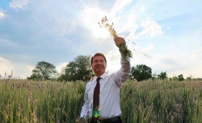 Muğla’da aromatik üretim ekonomiye katkı sağlıyor