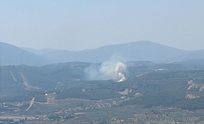 Muğla’da orman yangını