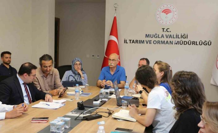 Muğla’da ‘Taşkın Riski’ ön değerlendirme toplantısı