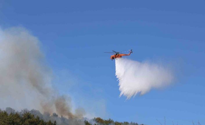 Muğla’daki orman yangını kontrol altına alındı