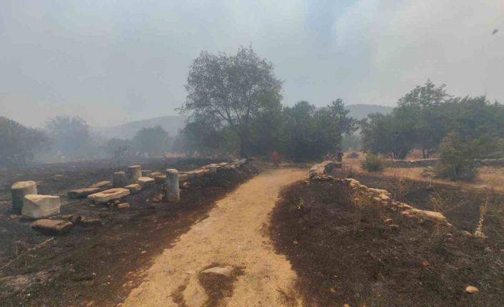 Muğla’daki yangın Stratonikia Antik kentindeki zirai alanda etkili oluyor