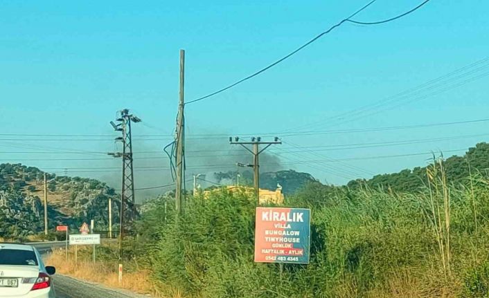 Muğla’nın Ortaca İlçesi Sarıgerme Mahallesi’nde orman yangını