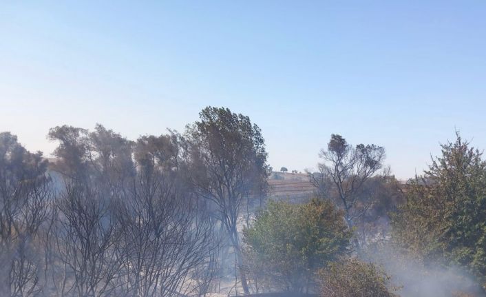 Muratlı’da anız yangını