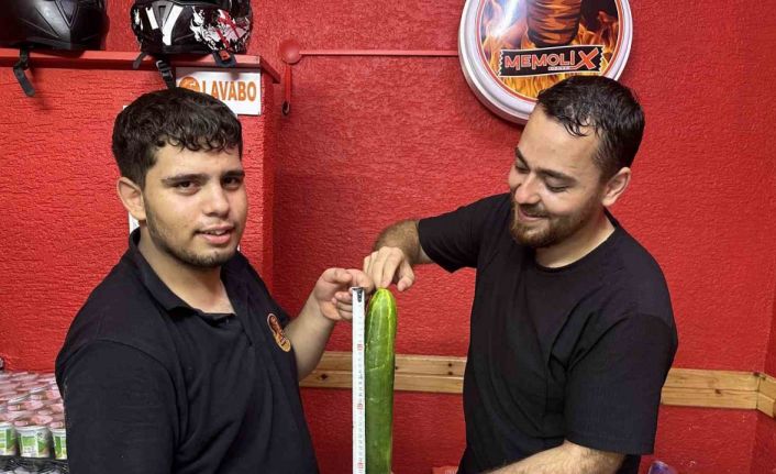 Muratlı’da dev salatalık görenleri hayrete düşürdü