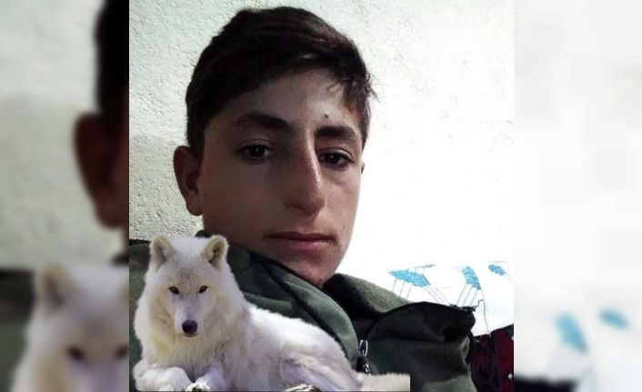 Muş’ta iş kazası: 20 yaşındaki genç hayatını kaybetti