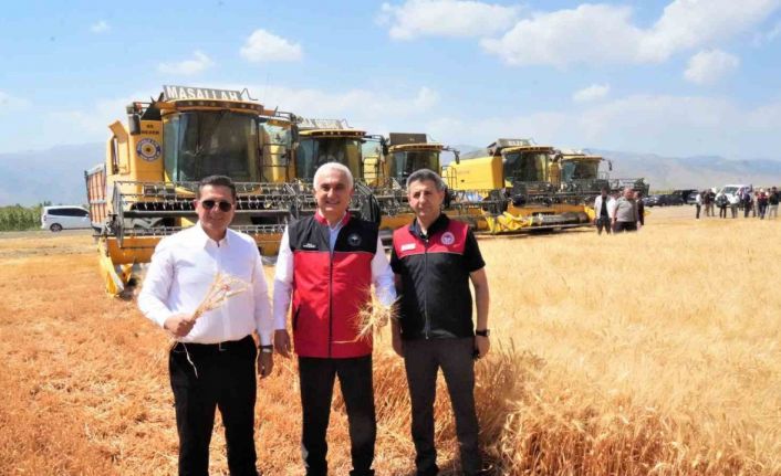 Muş’ta milyarlık hasat başladı