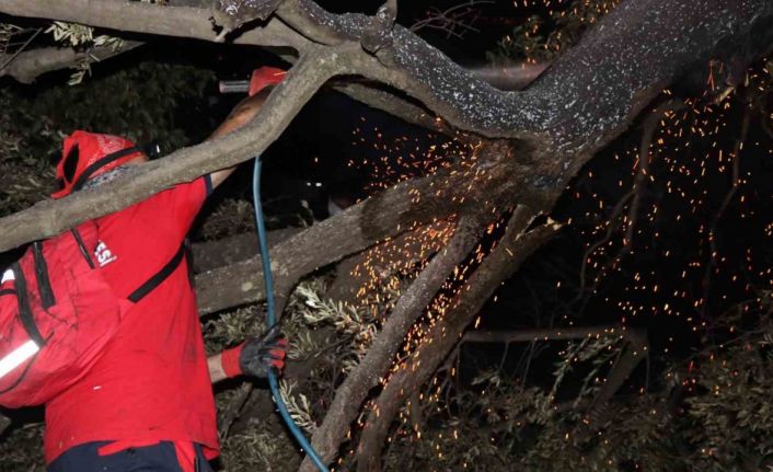 NAFAD bölgedeki yangınlarda aktif görev alıyor