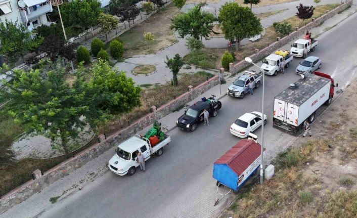 Nazilli Belediyesi’nden haşere ile etkin mücadele