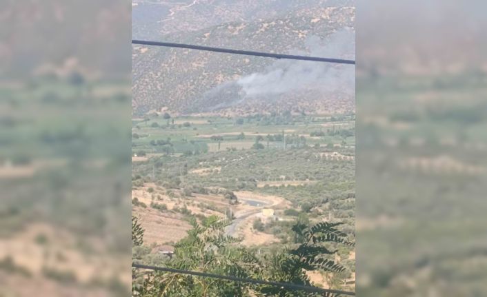 Nazilli’de makilik ve zirai alan yangını