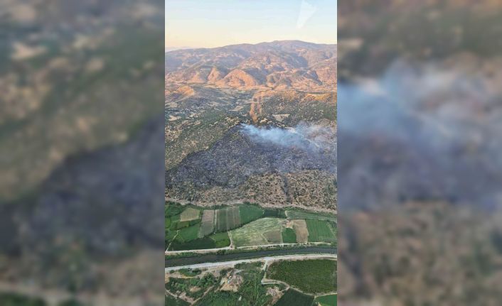 Nazilli’de makilik ve zirai alan yangını kontrol altına alındı