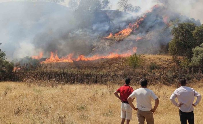 Nazilli’de zirai alanda çıkan yangın kontrol altına alındı