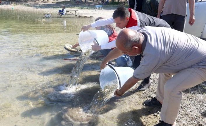 Nevşehir’de 856 Bin yavru sazan balığı sularla buluştu