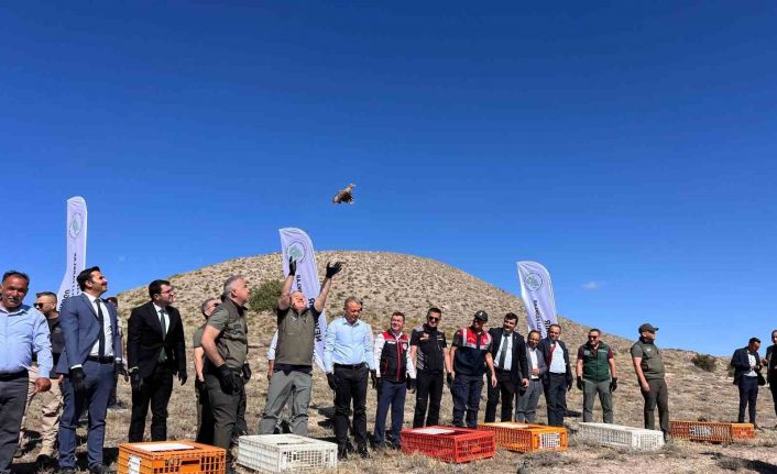 Nevşehir’de kene ile doğal mücadele