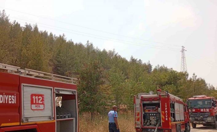 Nizip Belkız Köyü mesire alanında yangın