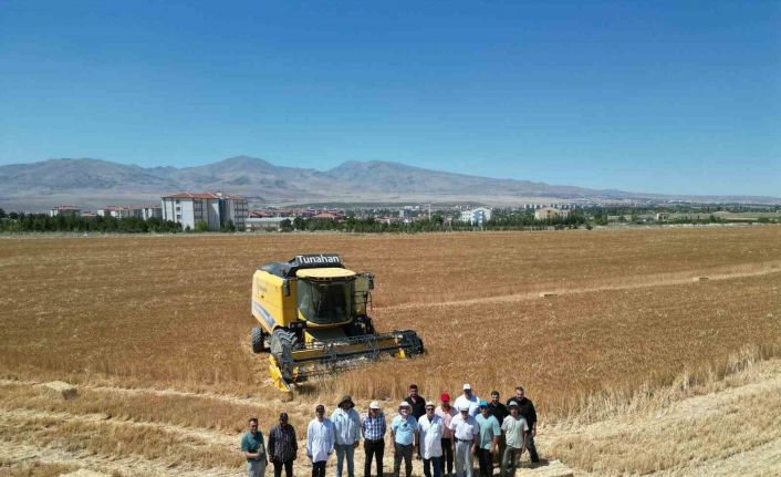 NÖHÜ’de 300 dekar arazide arpa ve buğday hasadı başladı