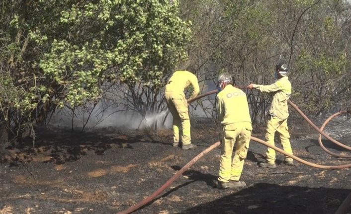O ilin Valisi yangınlara karşı uyardı