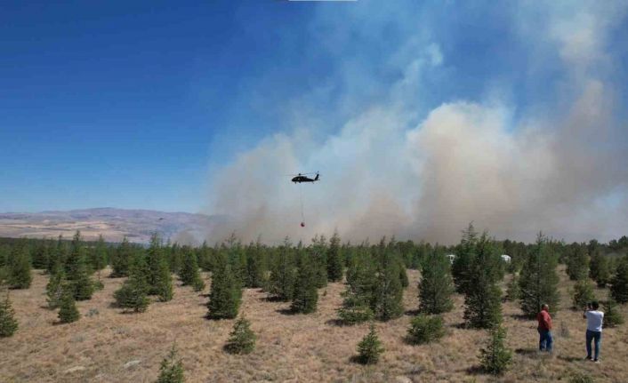 ODTÜ Ormanı’ndaki yangının tahribatı havadan görüntülendi