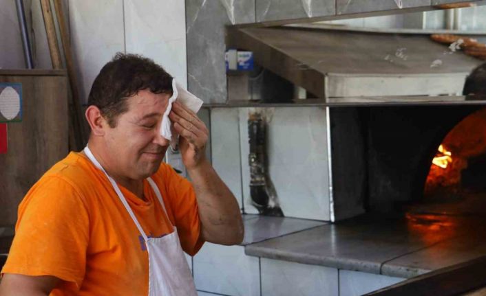 Onlar kavurucu sıcaklardan etkilenmiyor