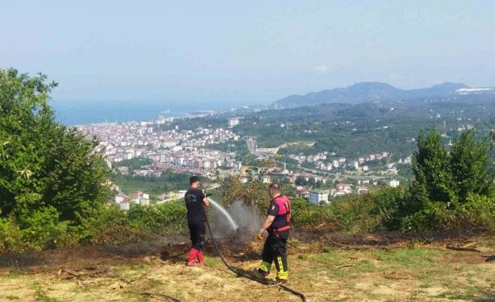Ordu’da bahçe yangını hızlı müdahaleyle söndürüldü